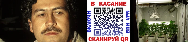 ГАШ Воронеж