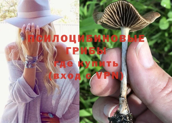 прущая мука Строитель