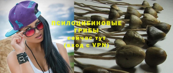 прущая мука Строитель