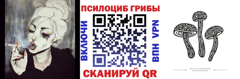 ссылка на мегу ТОР  где купить наркотик  Воронеж  Псилоцибиновые грибы Magic Shrooms 